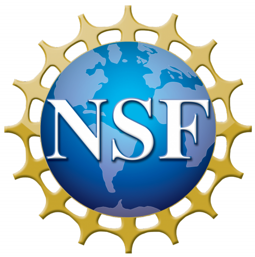 nsf logo 500px