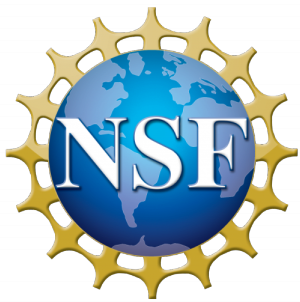 nsf logo 300px
