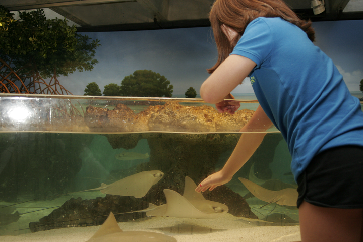 STEM Learning in Zoos and Aquariums