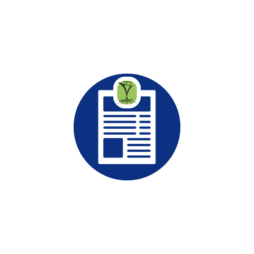 REVISE News CV